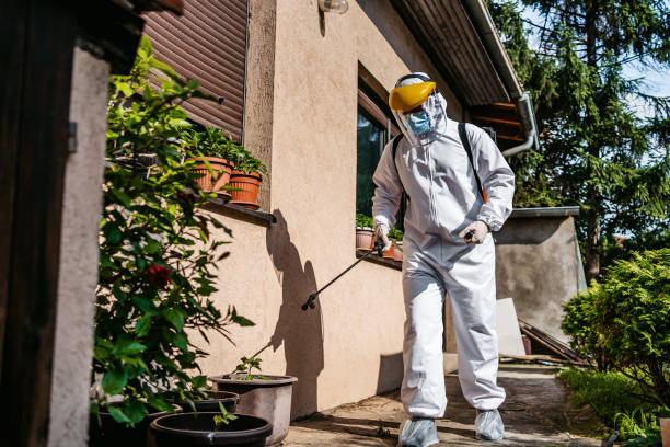 Insect Control in San Rafael, CA